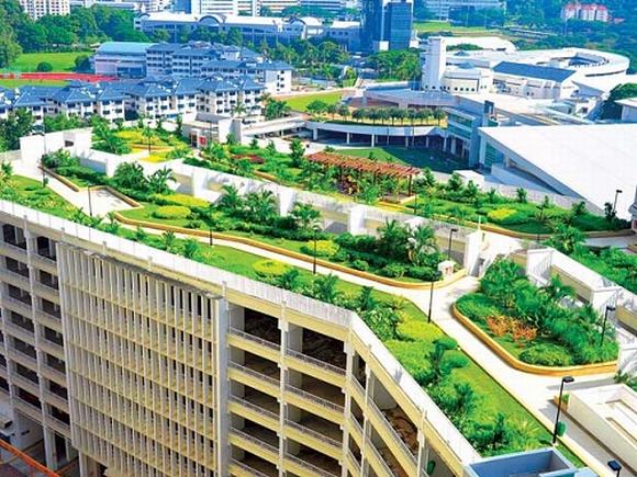 Lợi ích của sân vườn trên mái
