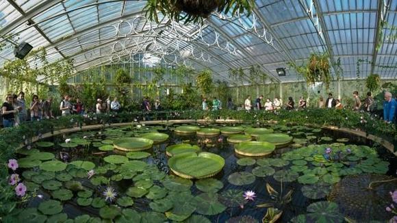 Vườn thực vật hoàng gia Kew, London, Anh