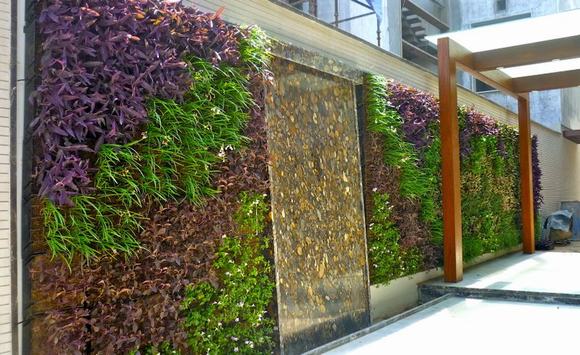 Tường cây - Vườn đô thị kiểu mới