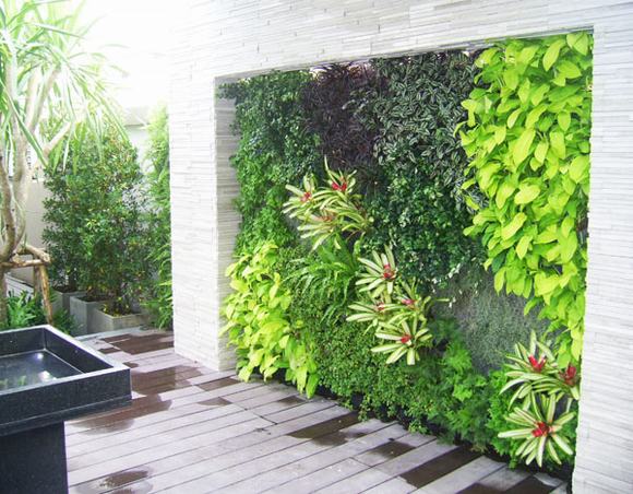 Tường cây xanh 