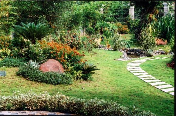 Chăm sóc sân vườn là chăm sóc cuộc sống