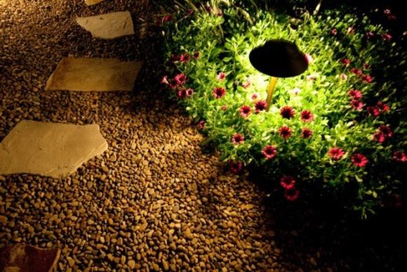 Đèn vườn chiếu sáng một bụi hoa nhỏ khiến chúng trở nên xanh non, sinh động hơn