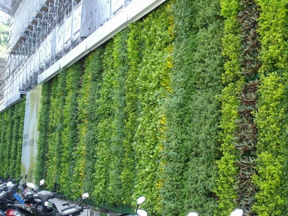 Công ty, doanh nghiệp hiện đại đều lựa chọn vườn treo tường