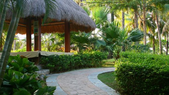 Sân vườn đẹp - Góc thư giãn rực rỡ ngoài trời