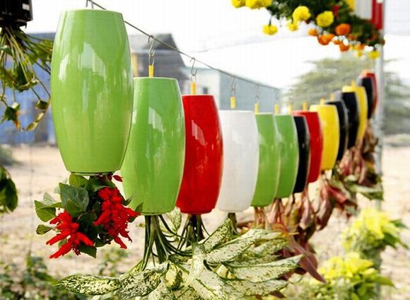 Sân vườn độc đáo với những chậu cây treo ngược