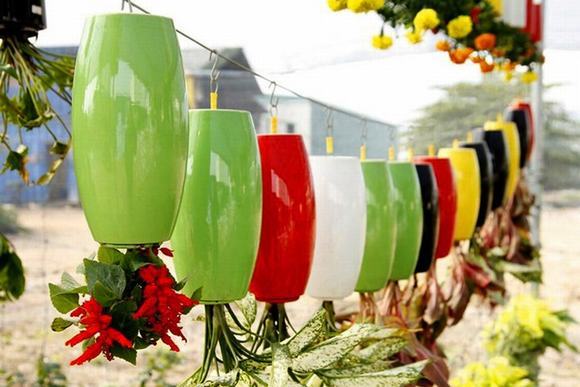 Vườn treo ngược độc đáo, lạ mắt