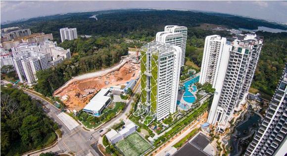 Bức tường cây xanh tươi, nổi bật dù nhìn từ xa