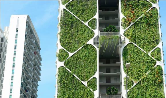 Bức tường xinh đẹp những cùng vô cùng hữu ích