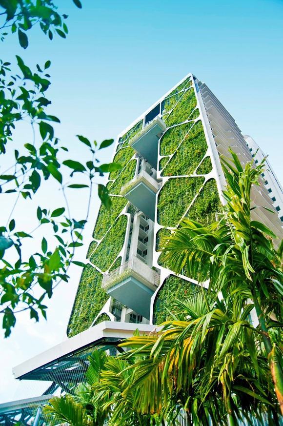 Tòa nhà Tree House xinh đẹp, nổi bật và gần gũi với thiên nhiên