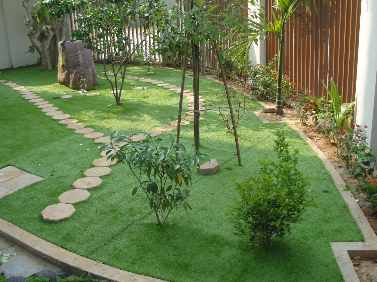bãi cỏ sân vườn