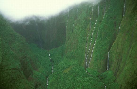 ky-la-buc-tuong-nuoc-mat-o-hawaii
