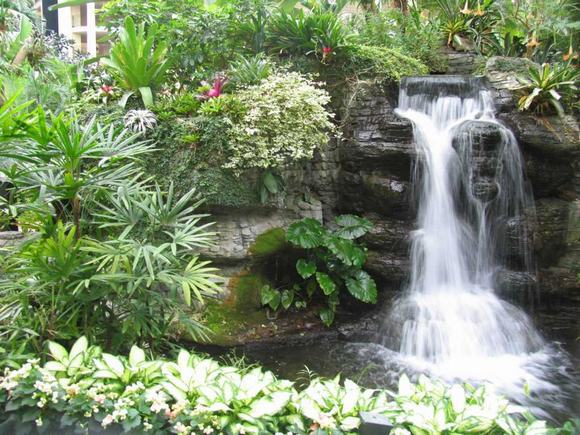 ky-la-buc-tuong-nuoc-mat-o-hawaii
