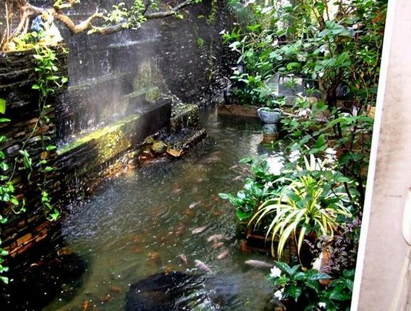 Tường nước phủ rêu cổ kính