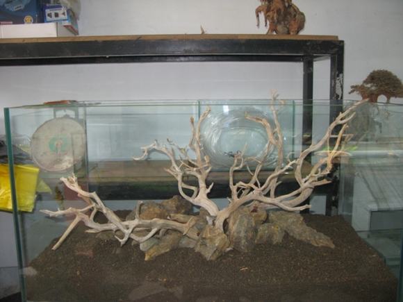 lũa trang trí bể cá lũa trang trí bể cá