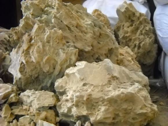 đá tiger đá tiger