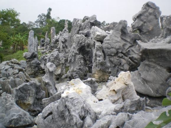 đá tai mèo đá tai mèo