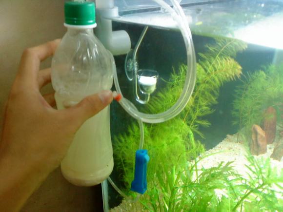bộ trộn co2 cho bể cá thủy sinh