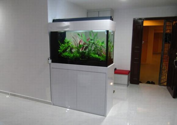 Bể cá thủy sinh đẹp