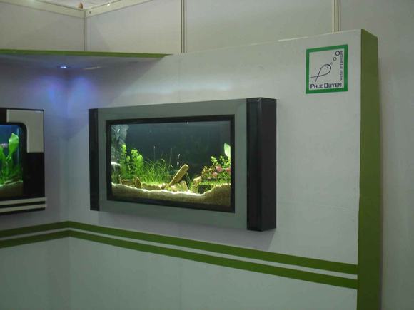 Bố trí bể cá treo tường