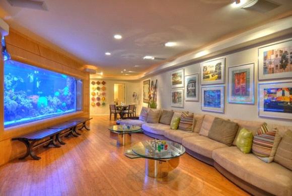 Bể cá cảnh chuyên nghiệp Bể cá cảnh chuyên nghiệp