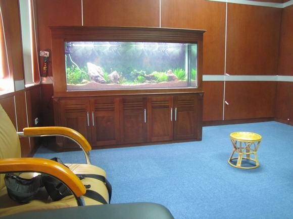 Dịch vụ vệ sinh và chăm sóc bể cá canhr