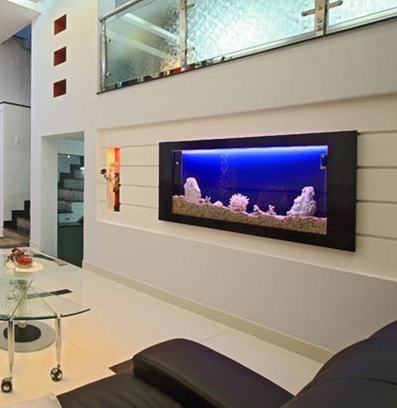 Thiết kế và thi công bể cá treo tường