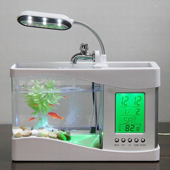 Bể cá mini