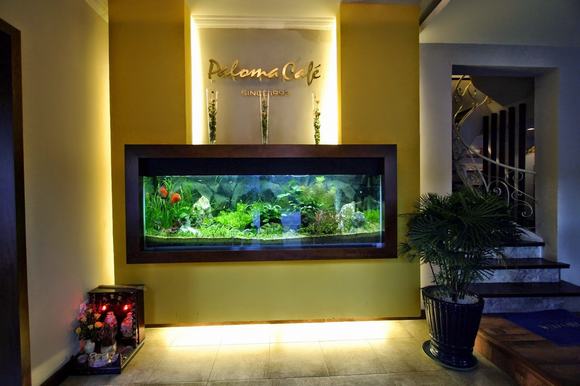 Gợi ý vị trí đặt bể cá thủy sinh trong phòng khách