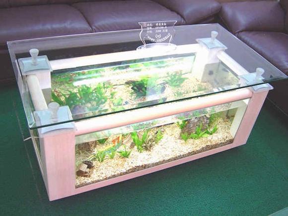 Bể cá cảnh kết hợp với bàn độc đáo