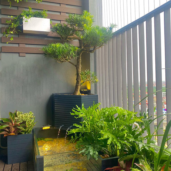 thiết kế hồ cá ban công