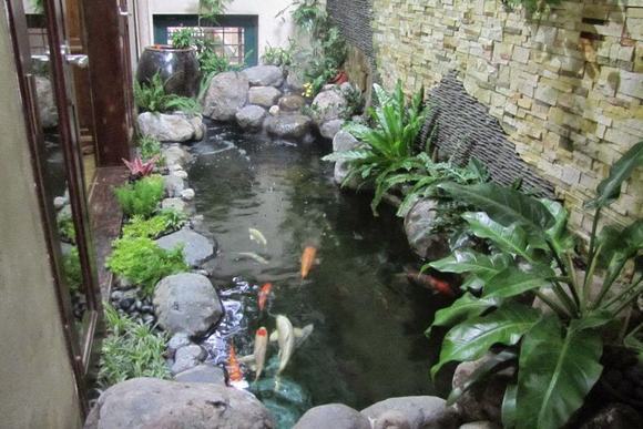 Hồ cá koi gia tăng giá trị bất động sản