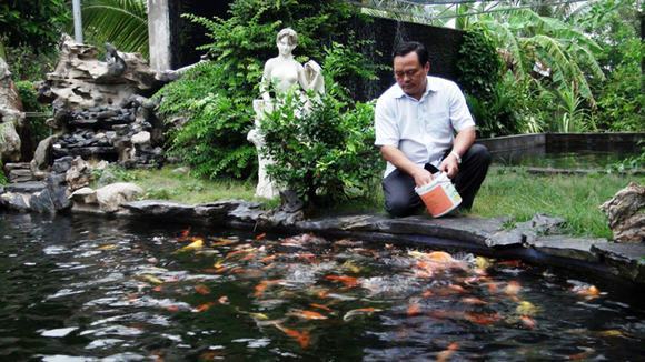 Thư giãn bên hồ cá koi