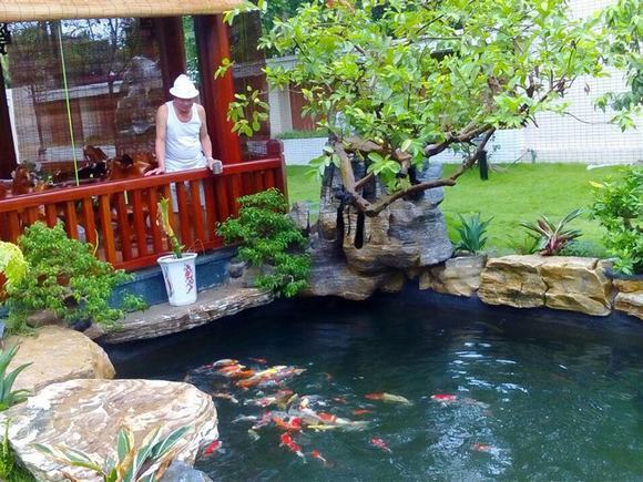 Hồ cá koi thể hiện phong cách gia chủ