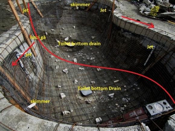 Kiến thức cho người mới chơi hồ cá Koi