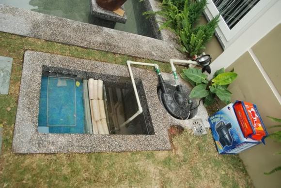 Hệ thống lọc cho hồ cá Koi