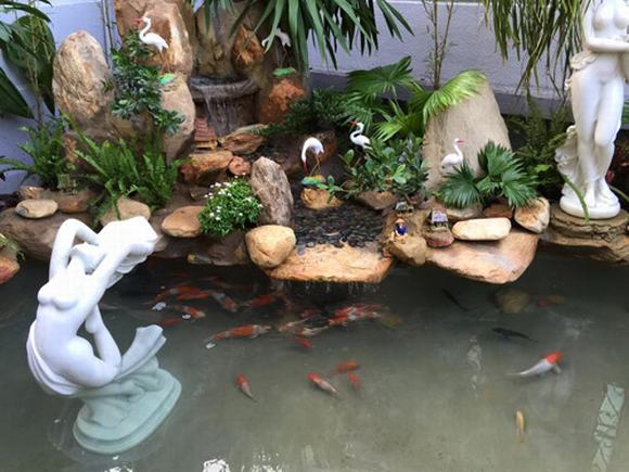“Du hí” phong cảnh sơn thủy hữu tình cùng hồ cá Koi của ca sĩ Cao Thái Sơn