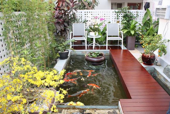 Hồ cá Koi có tính thẩm mỹ cao
