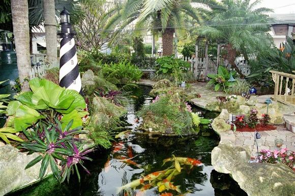 Với hồ cá Koi, không gian nhà bạn trở nên sang trọng mà thanh bình