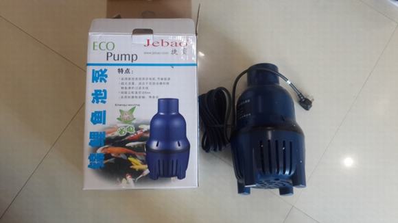 Máy bơm nước - Phụ kiện không thể thiếu khi thi công hồ cá Koi