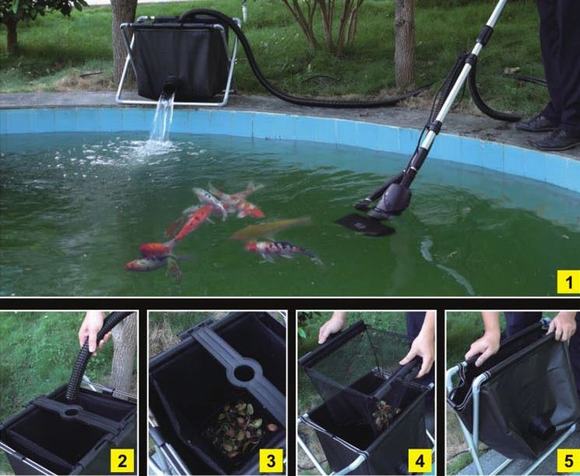 Vệ sinh hồ cá Koi là công việc cần làm định kỳ Vệ sinh hồ cá Koi là công việc cần làm định kỳ