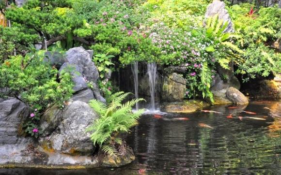 Người thi công có Tâm cho bạn hồ cá Koi tốt