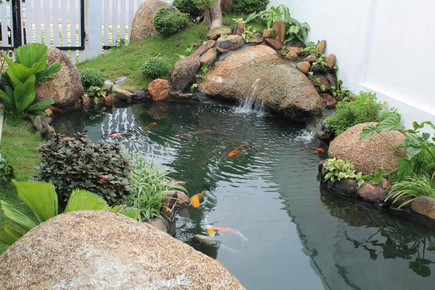 Tiểu cảnh sân vườn biệt thự và hồ cá koi