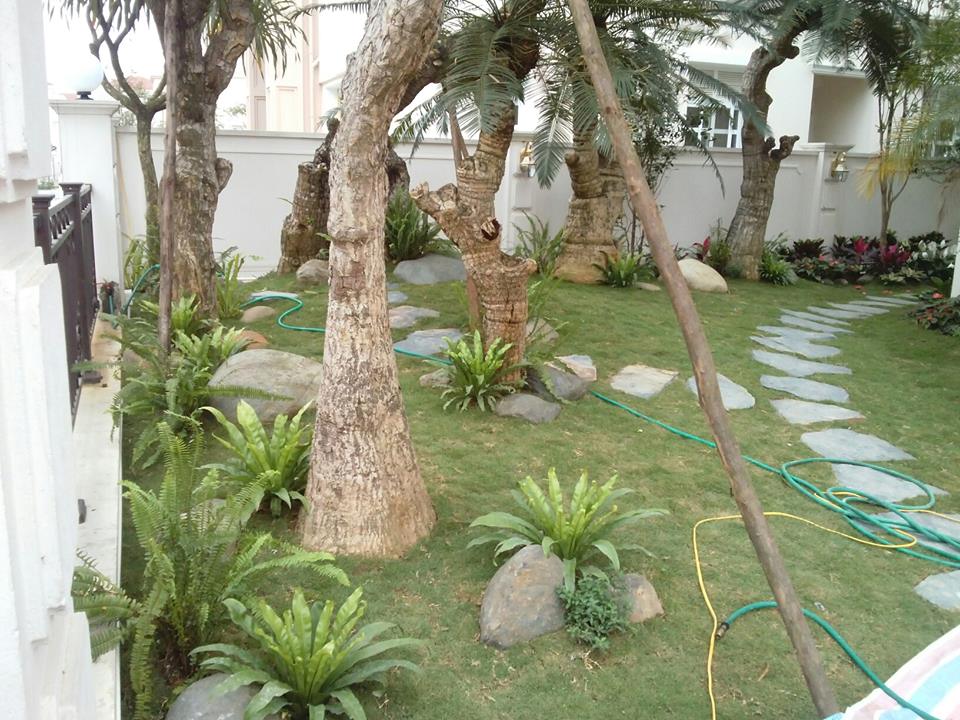 Quy trình thi công sân vườn đẹp