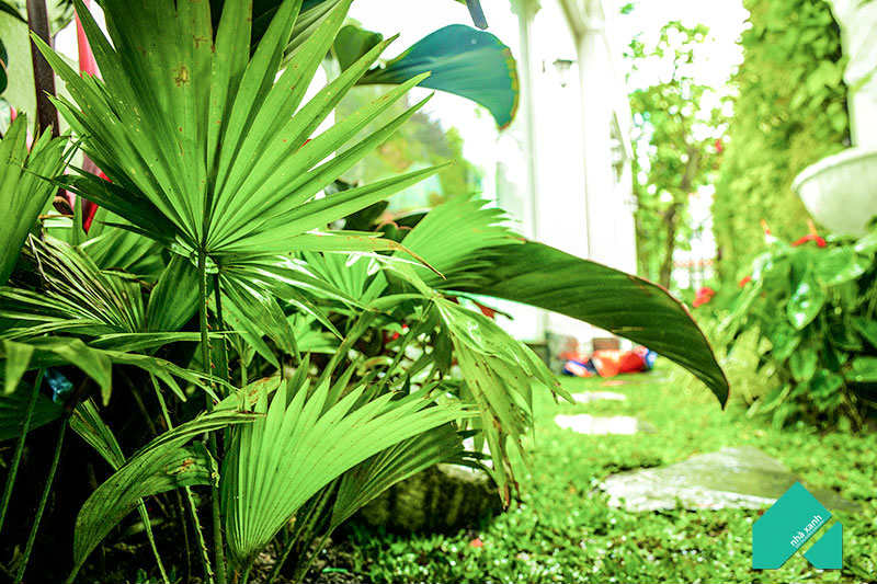 Thi công sân vườn với không gian xanh ngập tràn