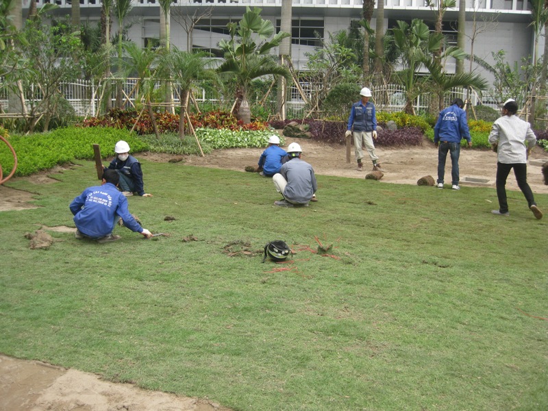Thi công sân vườn với mọi không gian