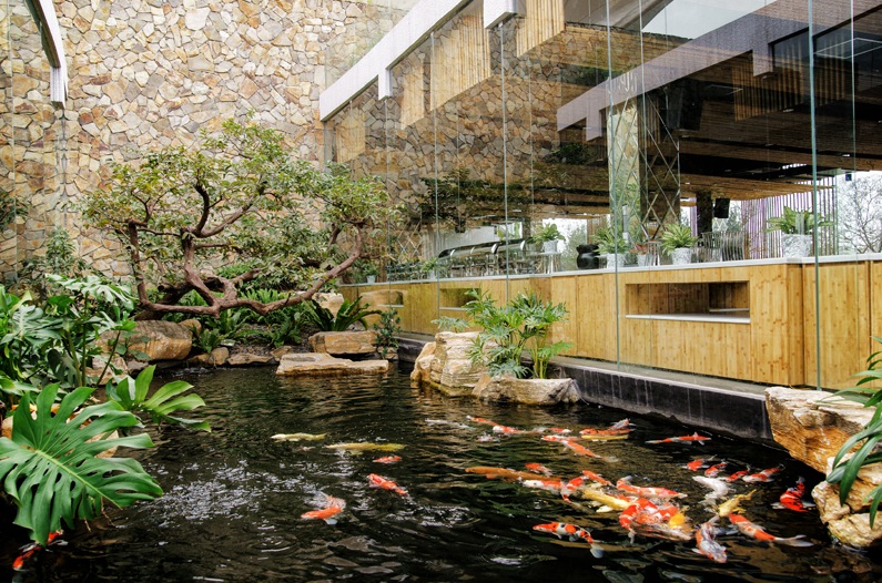 Thiết kế thi công hồ cá koi với phong cách hiện đại