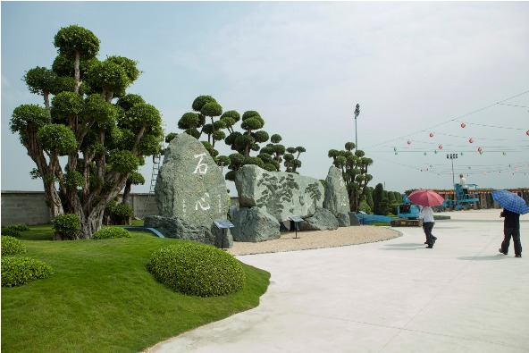 cong-vine-da-nhat-ban