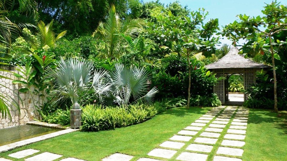 cay-xanh-trong-thiet-ke-san-vuon