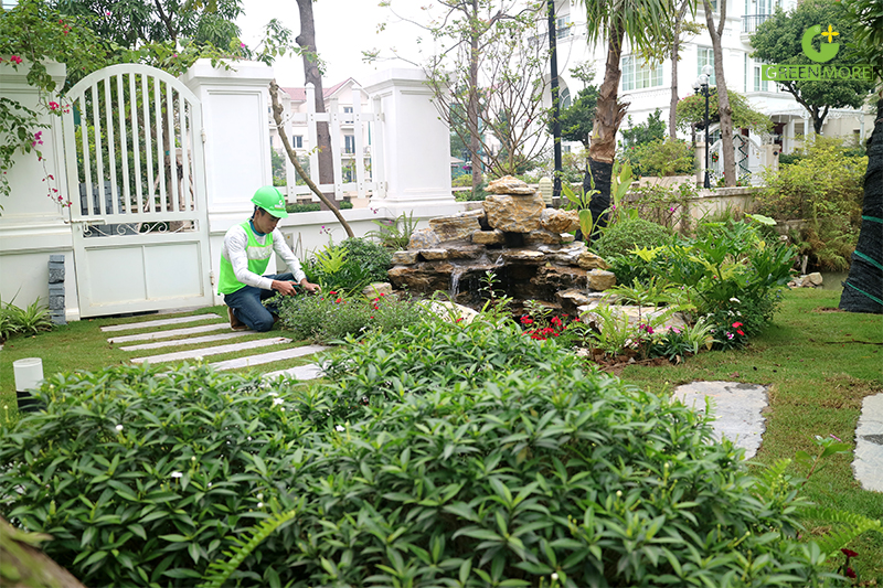 Biệt thự sân vườn hiện nay với vẻ đẹp tuyệt vời