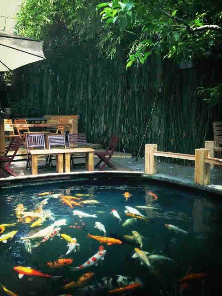 quan-ca-phe-co-ho-ca-koi